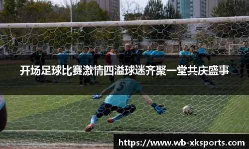 开场足球比赛激情四溢球迷齐聚一堂共庆盛事